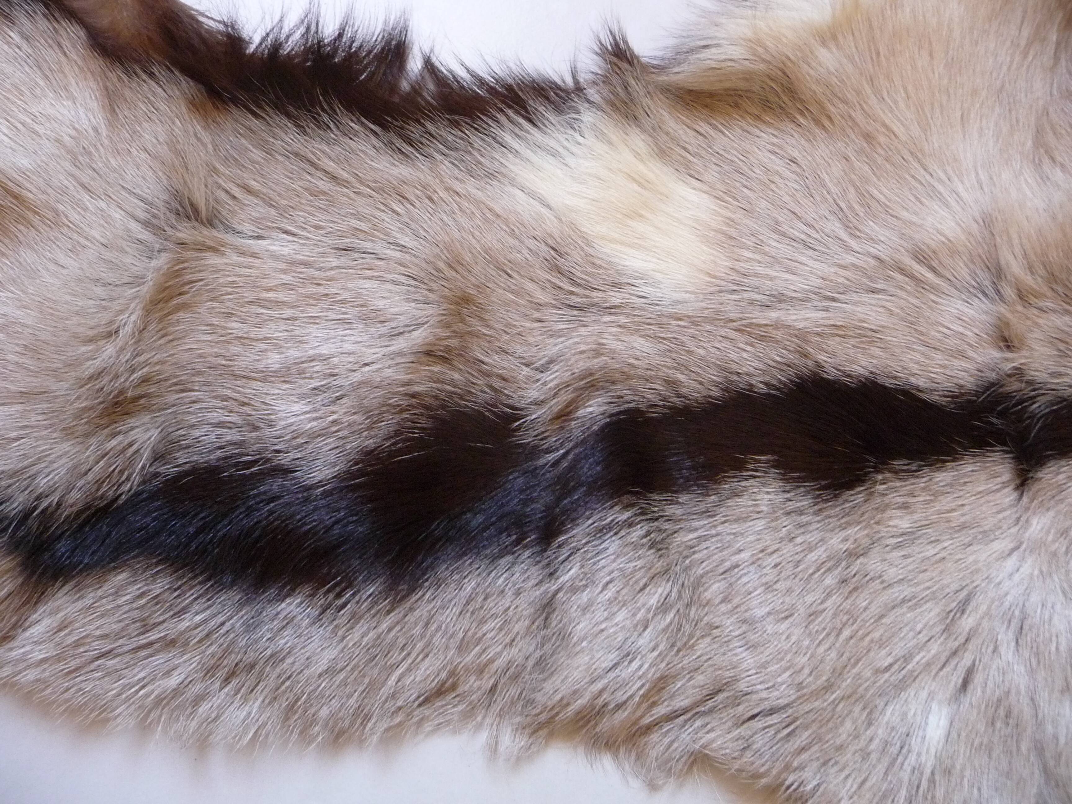 Peau de chevreau