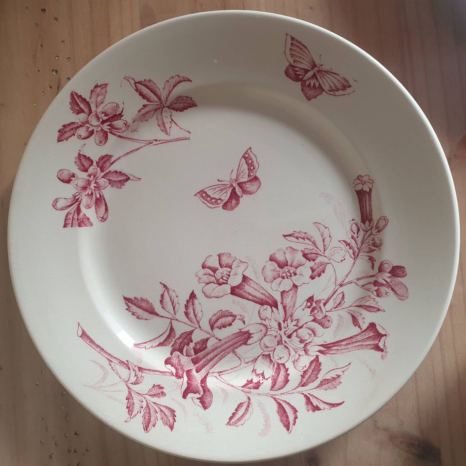 Jasmin Badonviller Plates