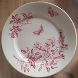 Jasmin Badonviller Plates