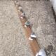 Patère, coat rack