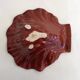 Shell cutting dish
