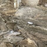 Jean Charles marble dining table