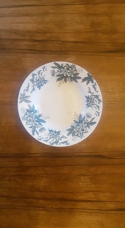 Plate in Iron Earth Saint Amandinoise model Anémone