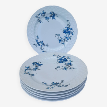 6 Bernardaud porcelain flat plates - Saint-Saens model - 1970s
