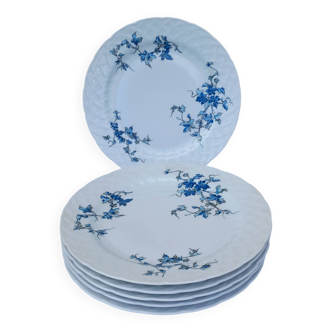 6 Bernardaud porcelain flat plates - Saint-Saens model - 1970s