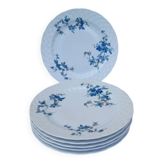 6 assiettes plates en porcelaine Bernardaud - modèle Saint-Saens - années 70