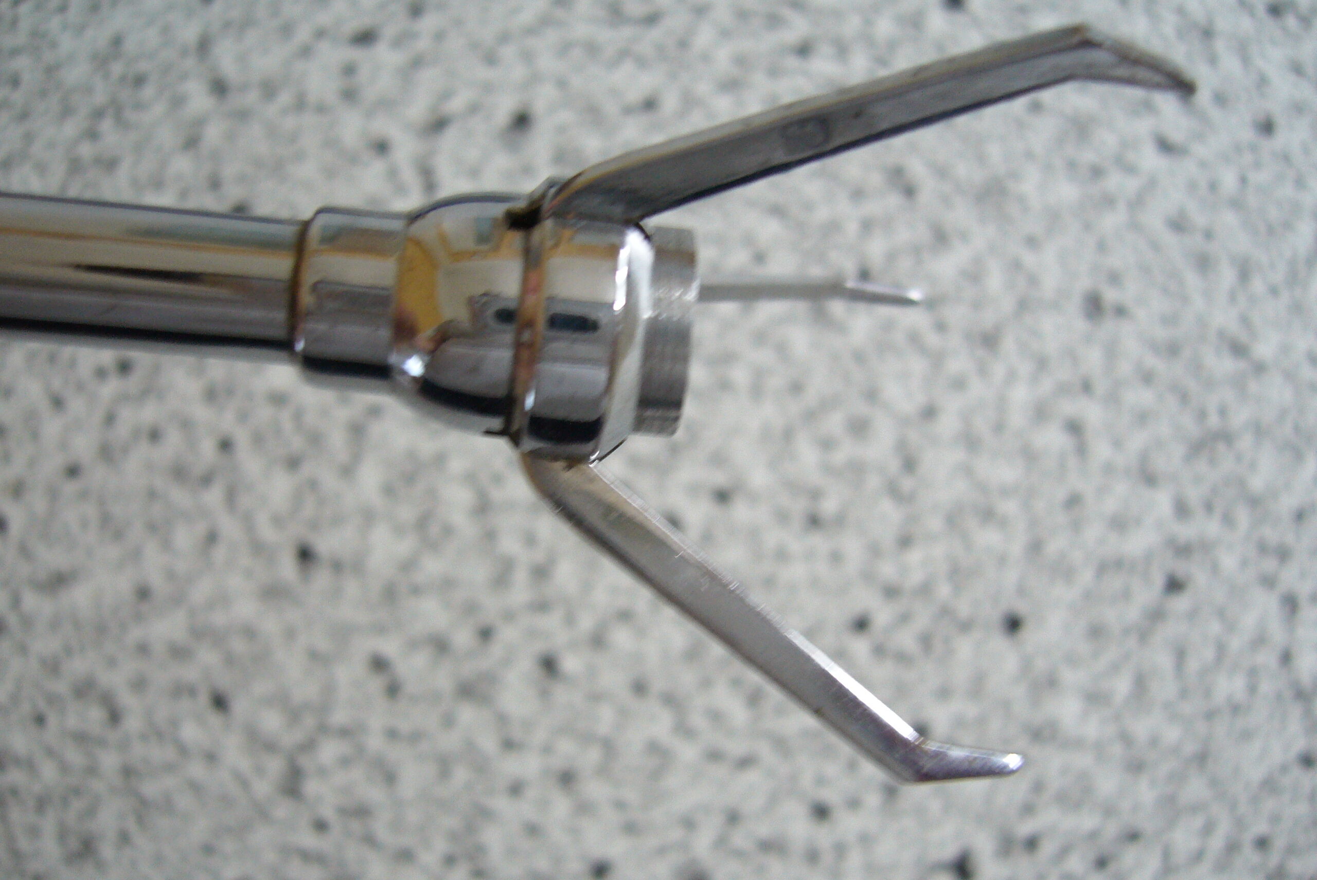 Apollo sugar or ice tongs