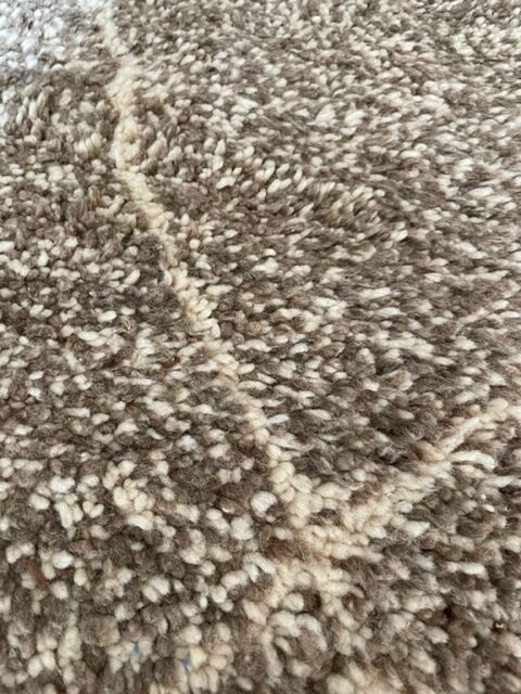 Carpet blessed ouarain speckled beige 254 x 146 cm