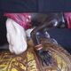 Centerpiece (empty pocket) in resin with African character