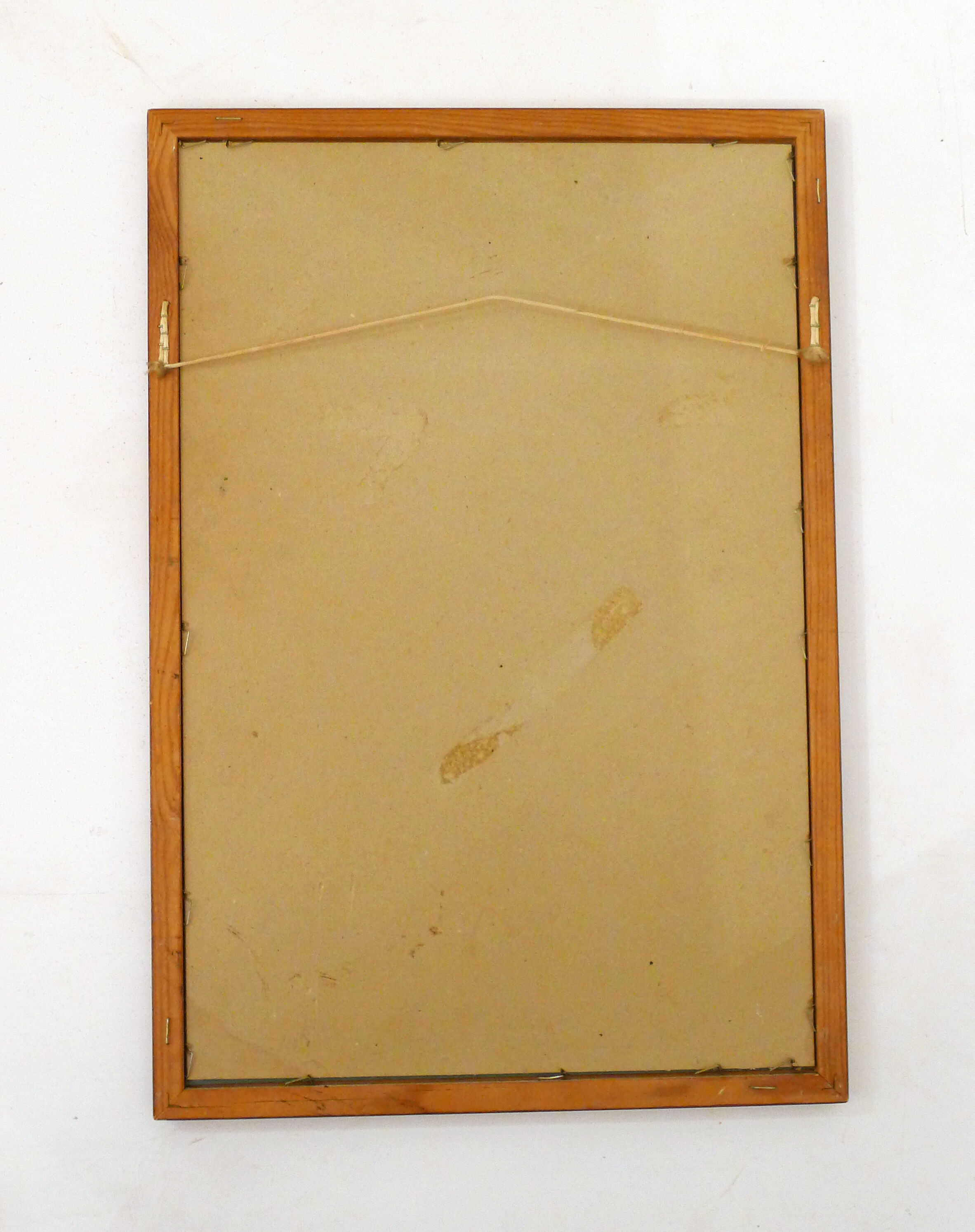 Wall mirror décor golden coconuts