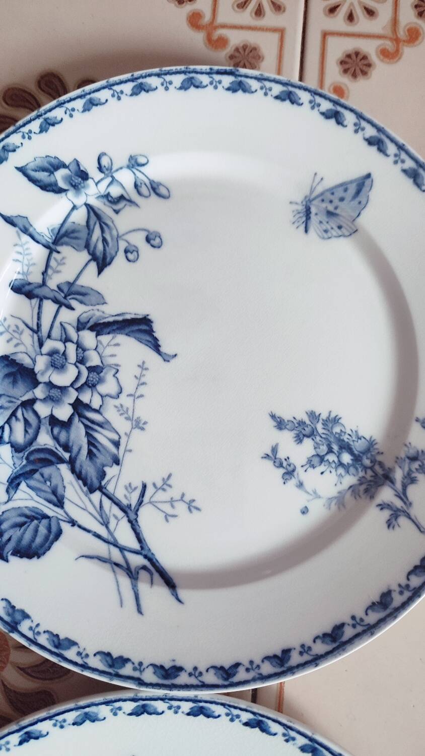 5 Carmen dinner plates by UetC Sarreguemines