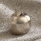 Salt and pepper shaker apple shape