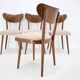 Ensemble de quatre chaises de salle à manger en hêtre restaurées des années 1950, Tchécoslovaquie