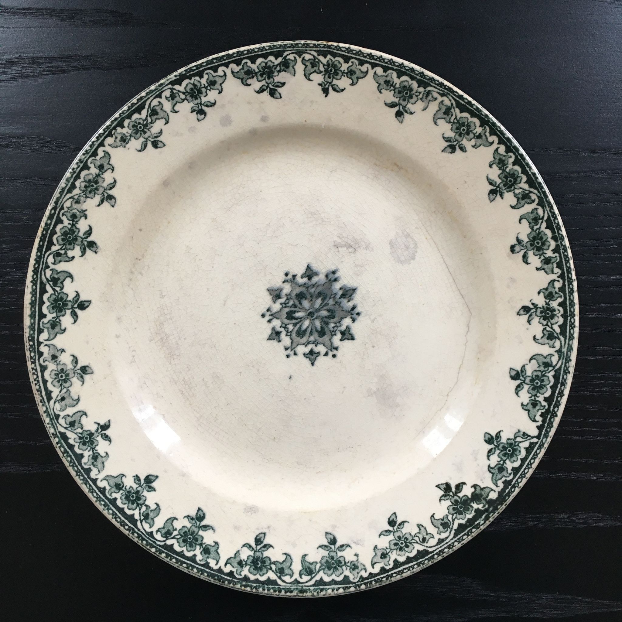 Assiette terre de fer