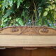 Bibus in oak art nouveau