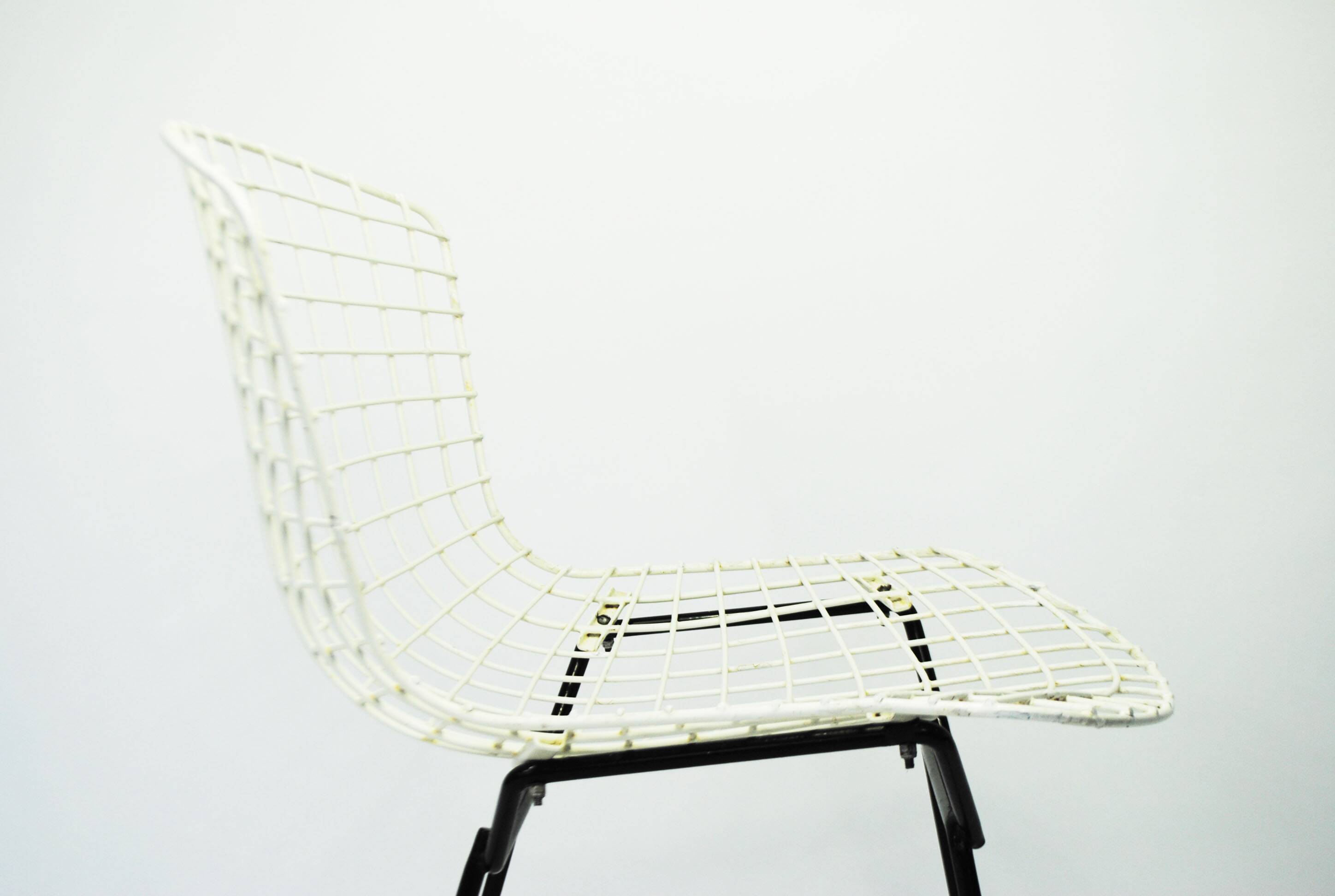 Bertoia dise chair