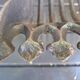 Antique cast iron log holder/ember holder for fireplace