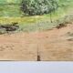 Aquarelle sur papier représentant un chemin par C. Piveteau 1915
