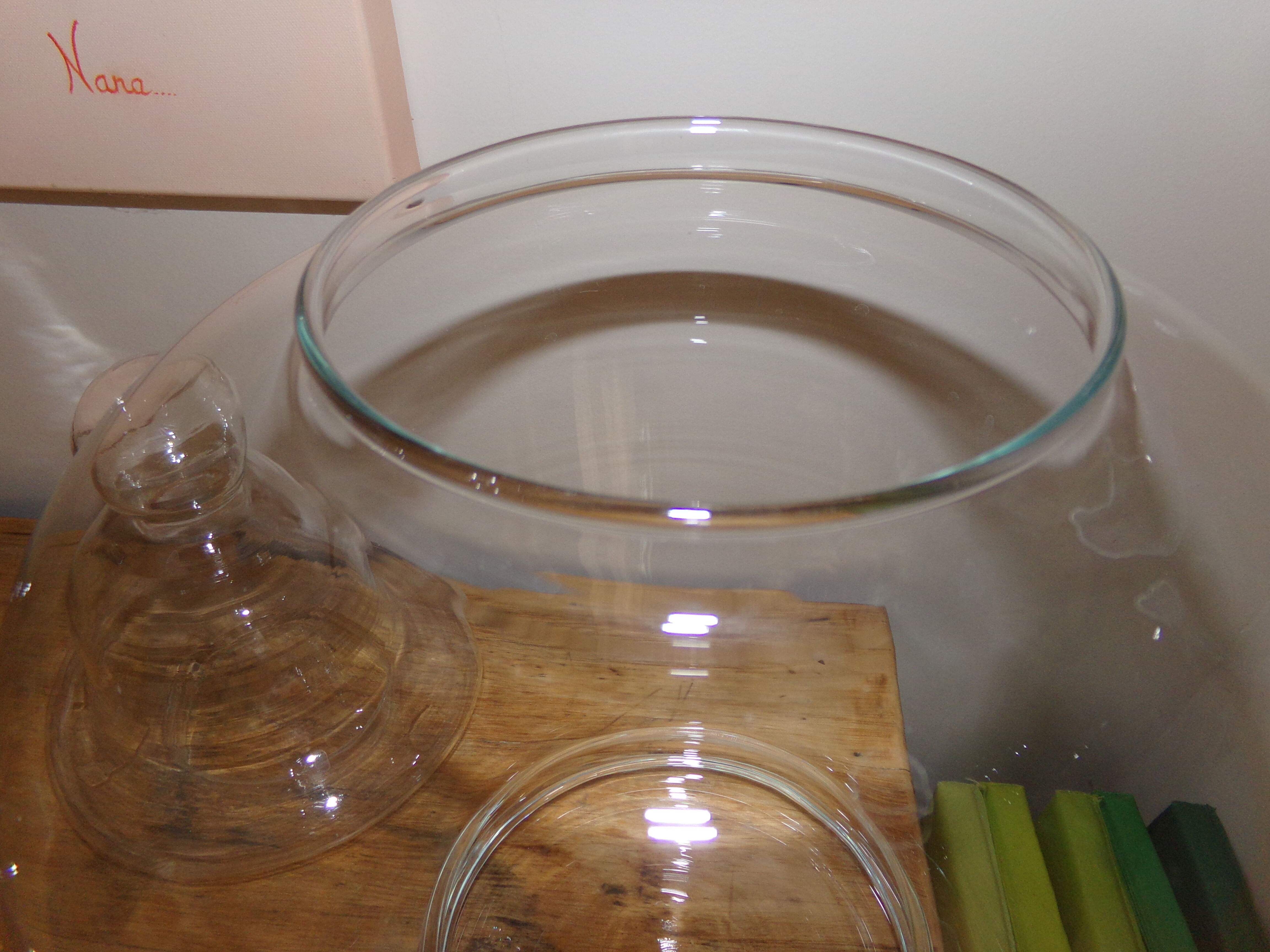 Large glass apothecary jar
