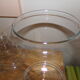 Large glass apothecary jar