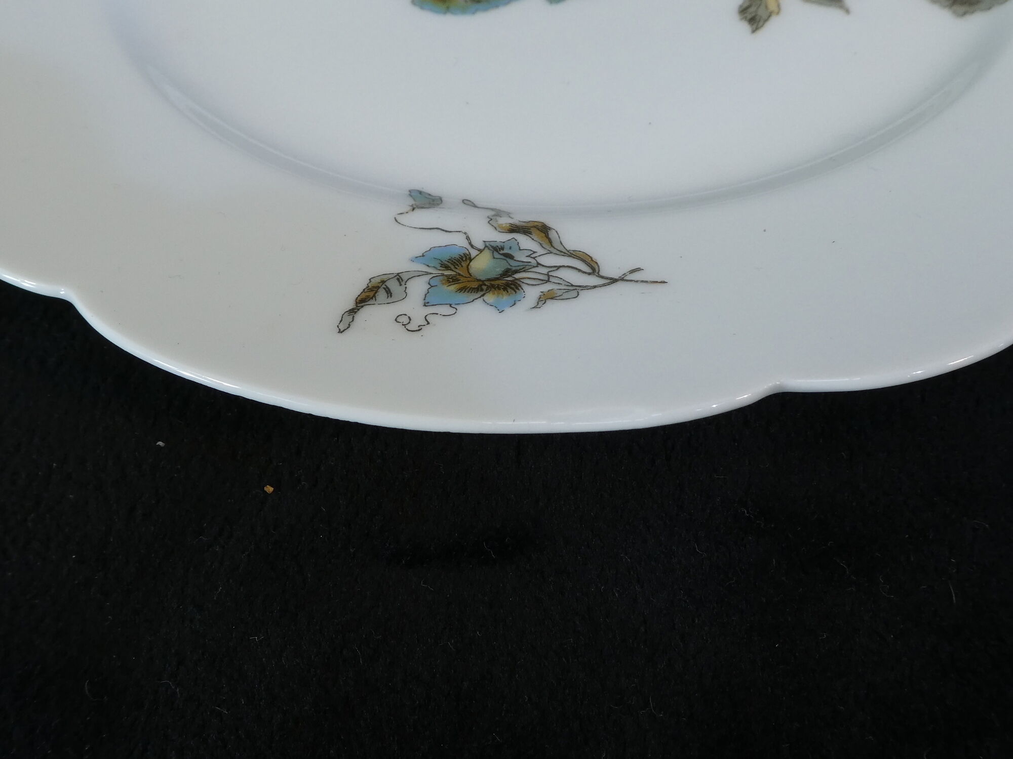12 Limoges porcelain dinner plates for E.Bourgeois Paris