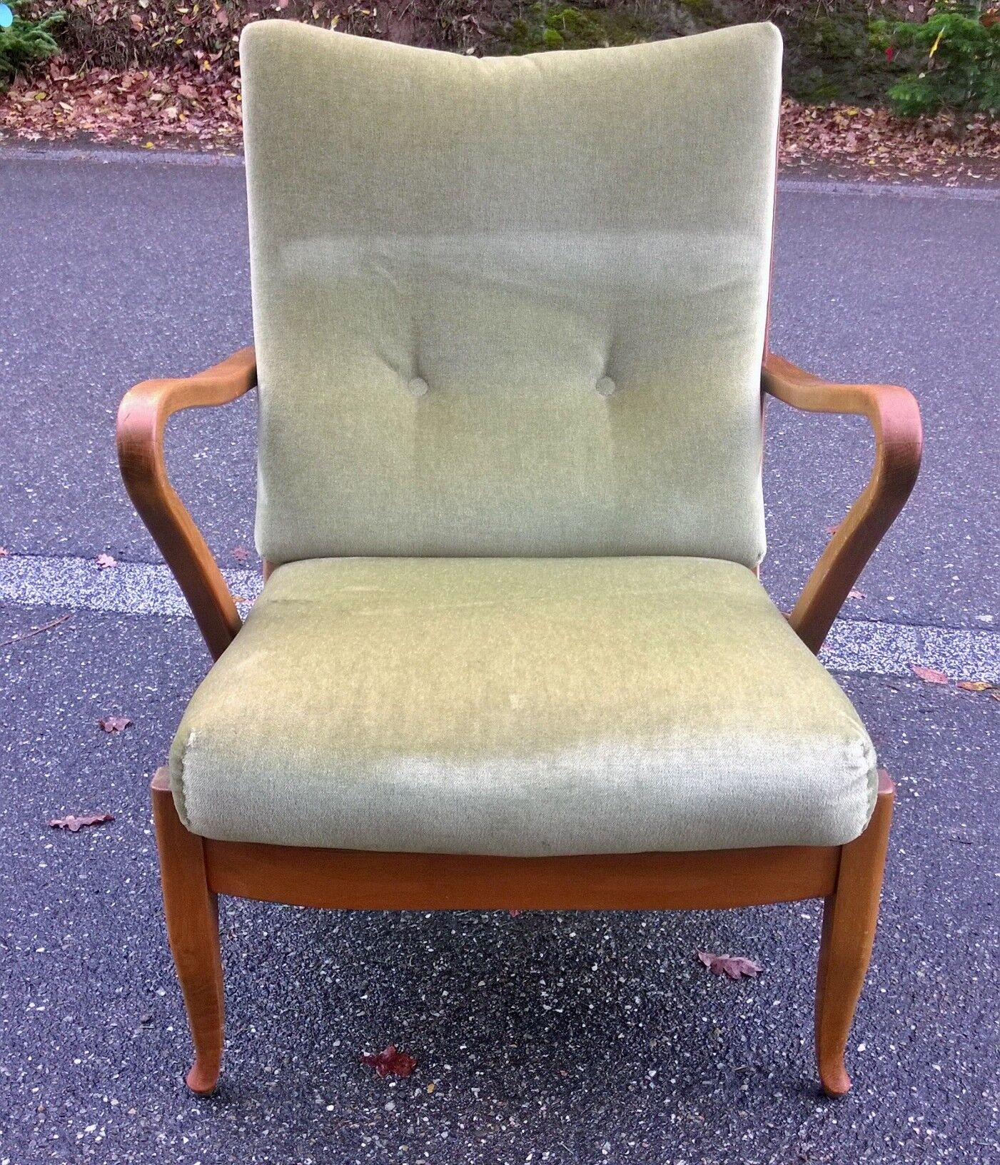 Armchair year 50 Molliperma