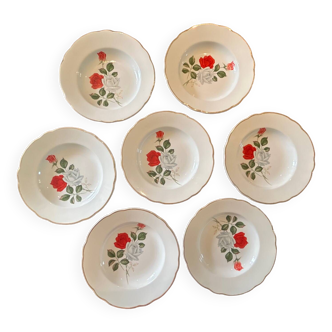 Lunéville Menton soup plates