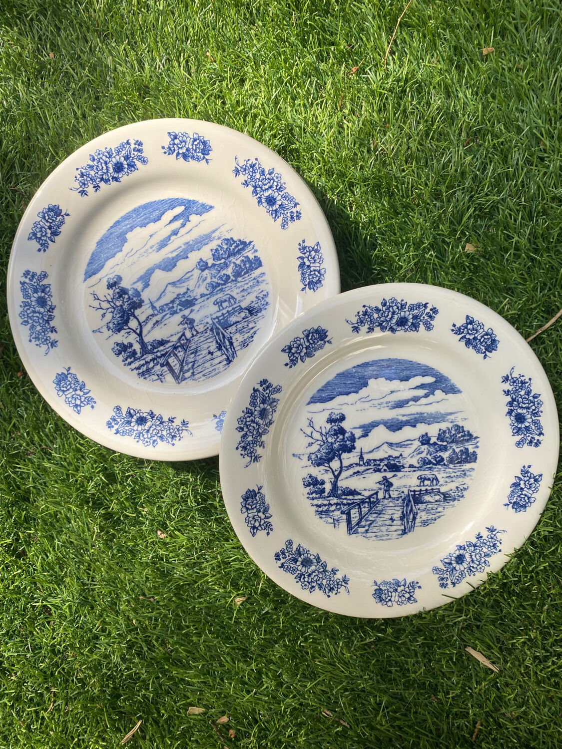 5 gien plates
