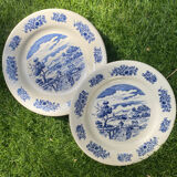 5 gien plates
