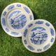 5 gien plates