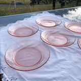 Lot 6 hollow plates Rosaline