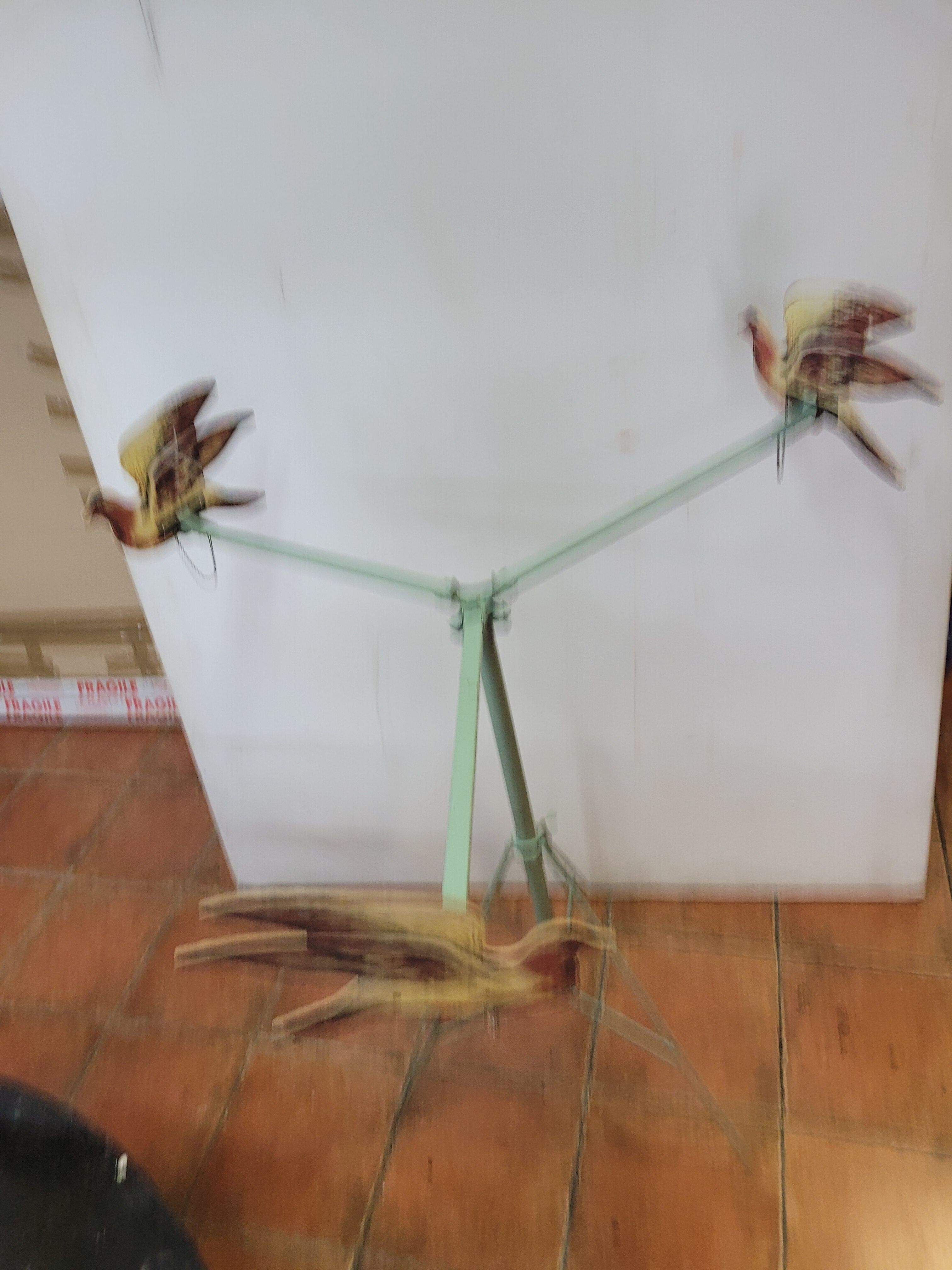 Pigeon shooting from the 80s