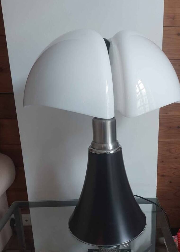 Pipistrello Grand Model Lamp