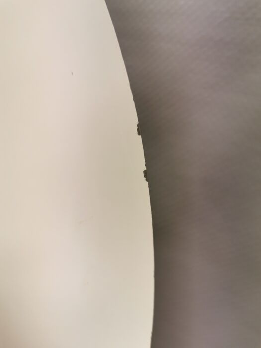 Scandinavian hanging lamp