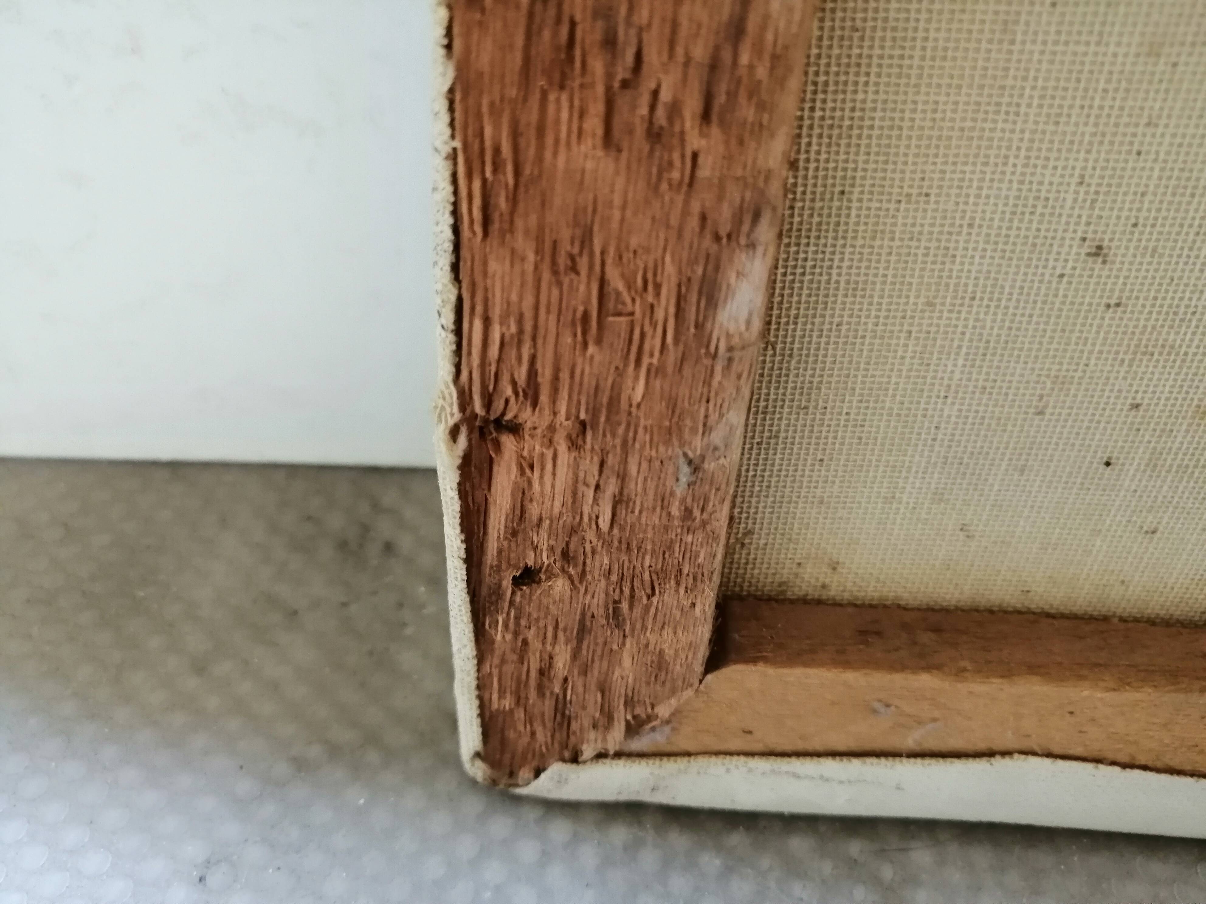 Still life with daisies and flowers in vase