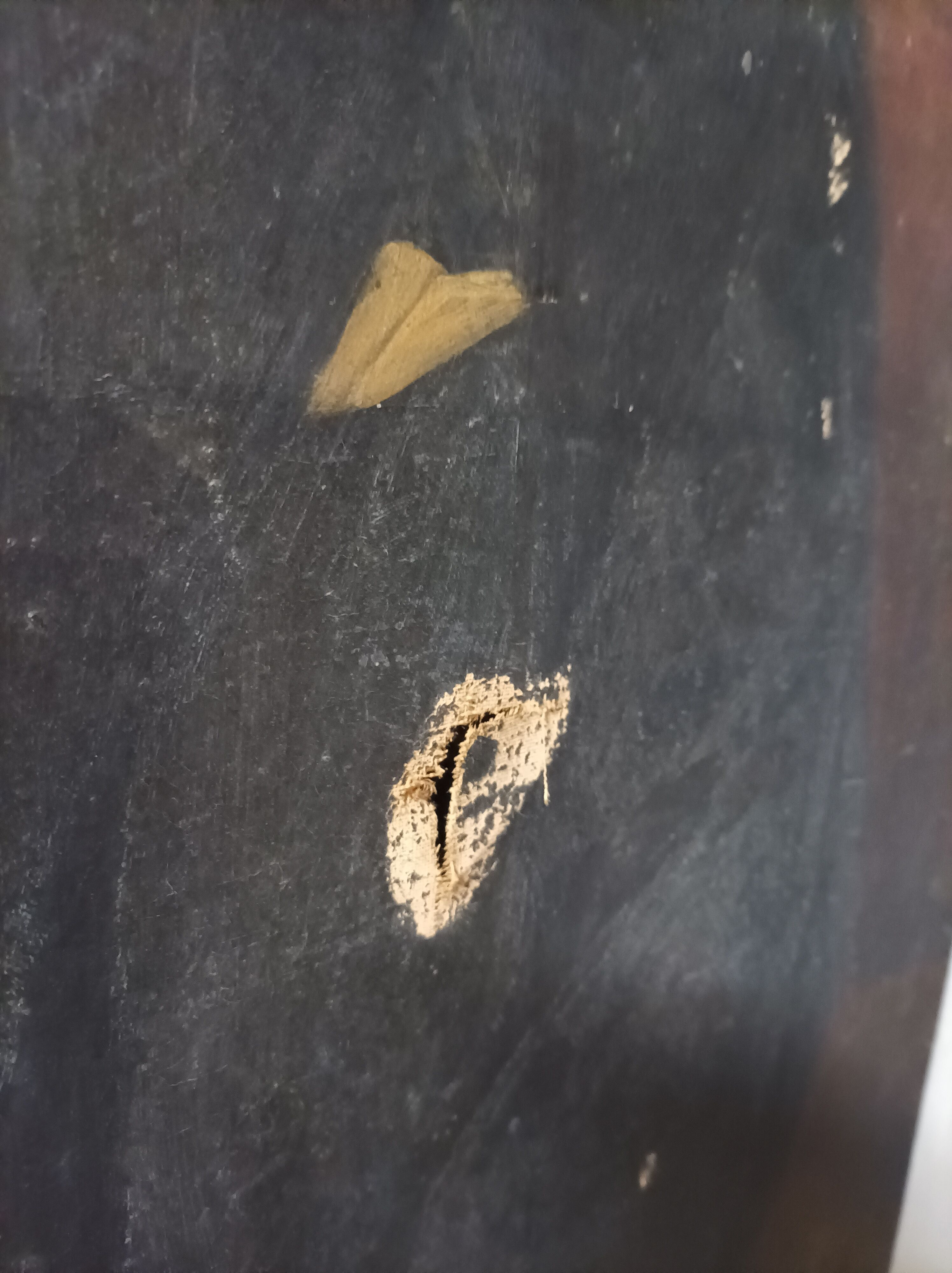 Oil on canvas Portrait of a man English School XIXth