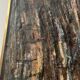 Oil on canvas, contemporary painting by "POLLET LECLERC" 20th century.