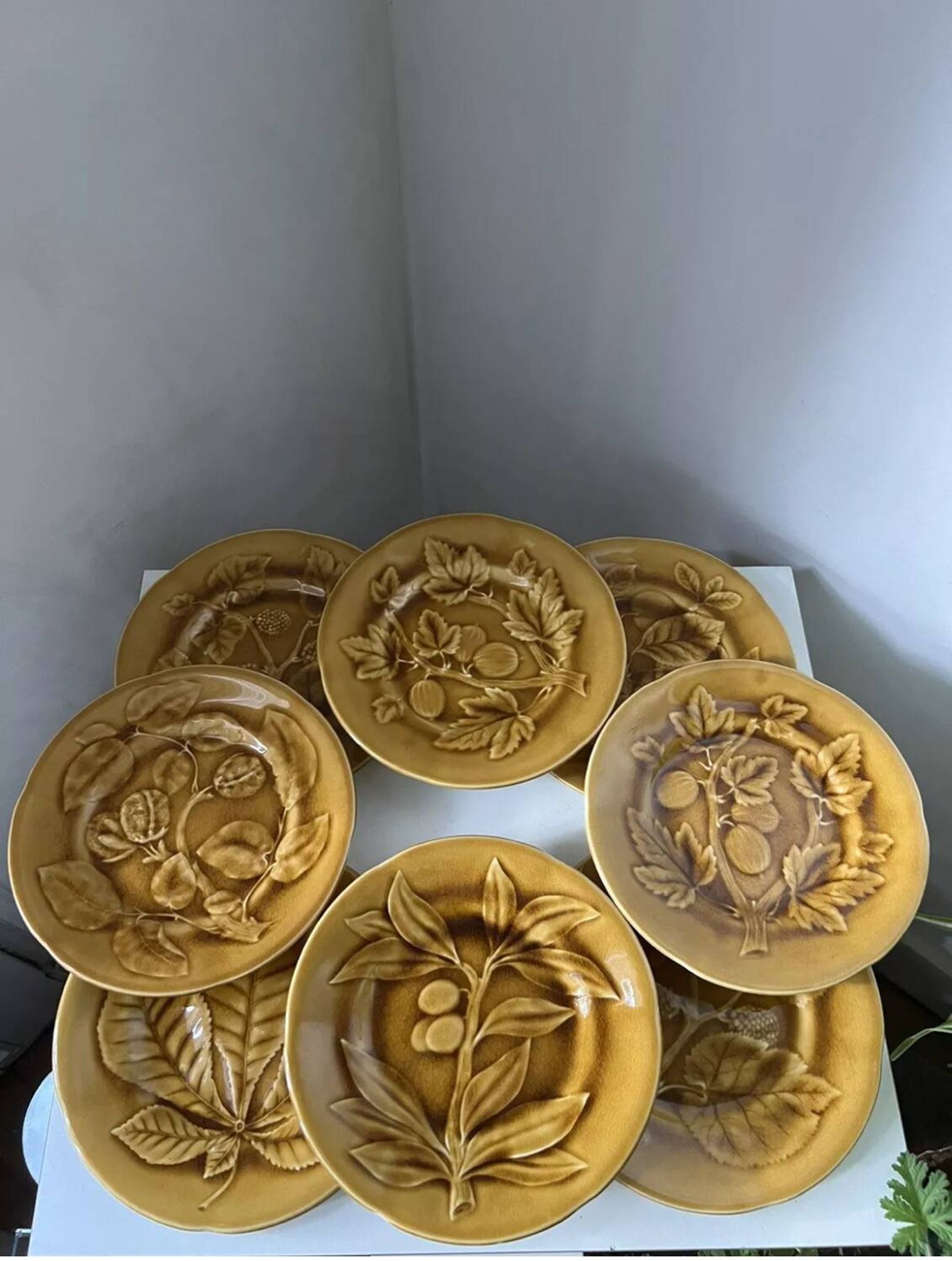 Series 10 brown plates, Barbotine fruit, Choisy le Roi