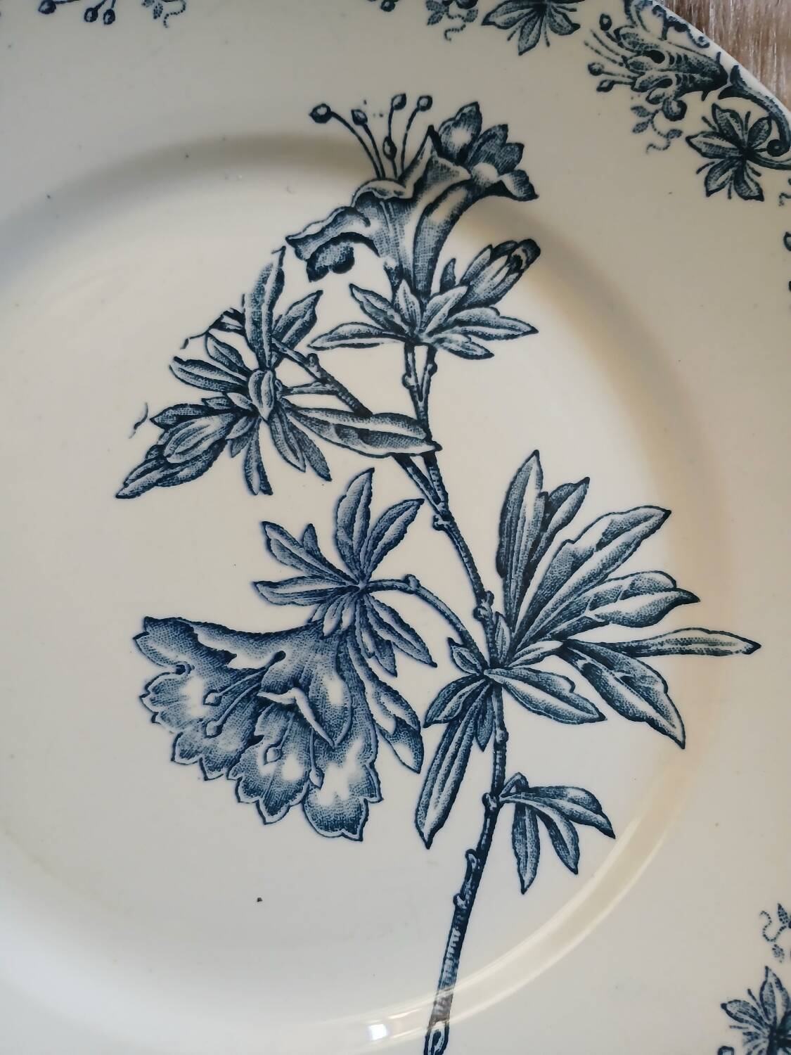 11 antique ironstone plates "Flora"