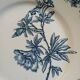 11 antique ironstone plates "Flora"