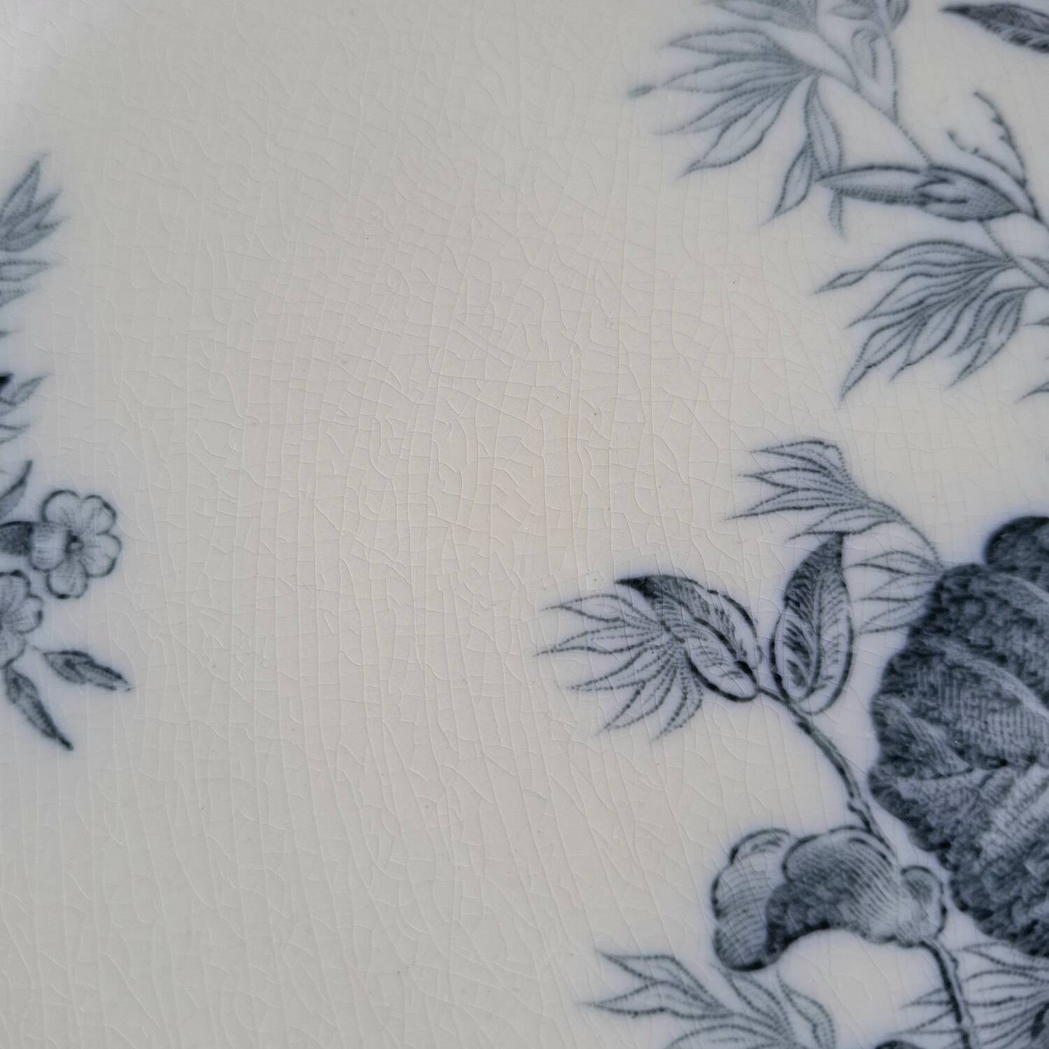 Mismatched old flat plates in iron earthenware