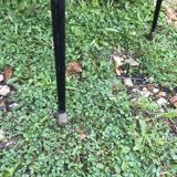 Pair of chairs C Gueden