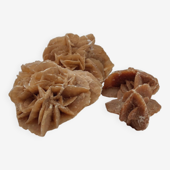 Set of 2 sand roses