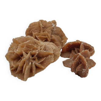 Set of 2 sand roses