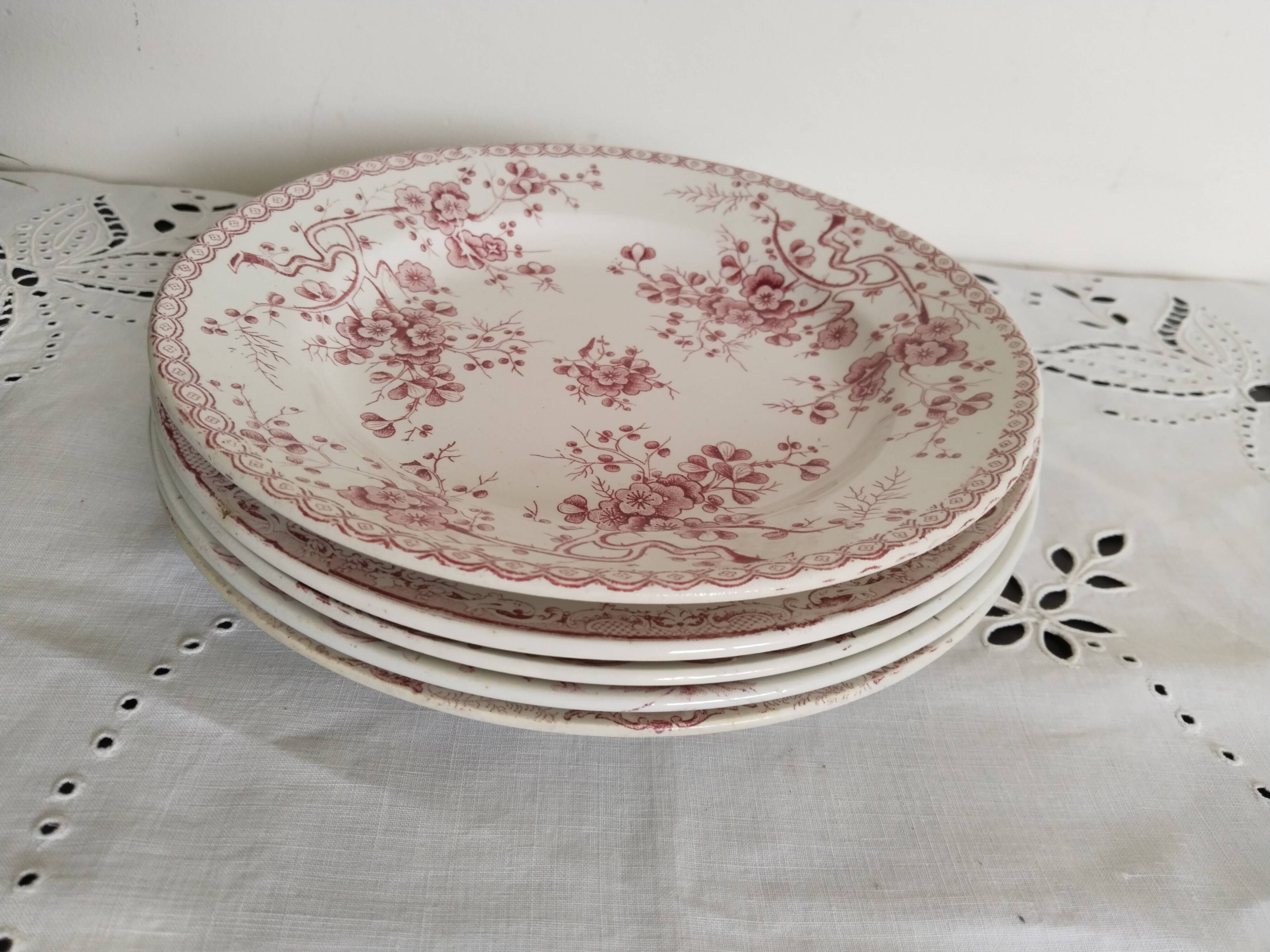 Set of 5 dinner plates in Terre de fer earthenware, red color, antique French