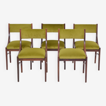 Set of five Mid-Century Modern Green reupholstered Dining Chairs by Ico Parisi