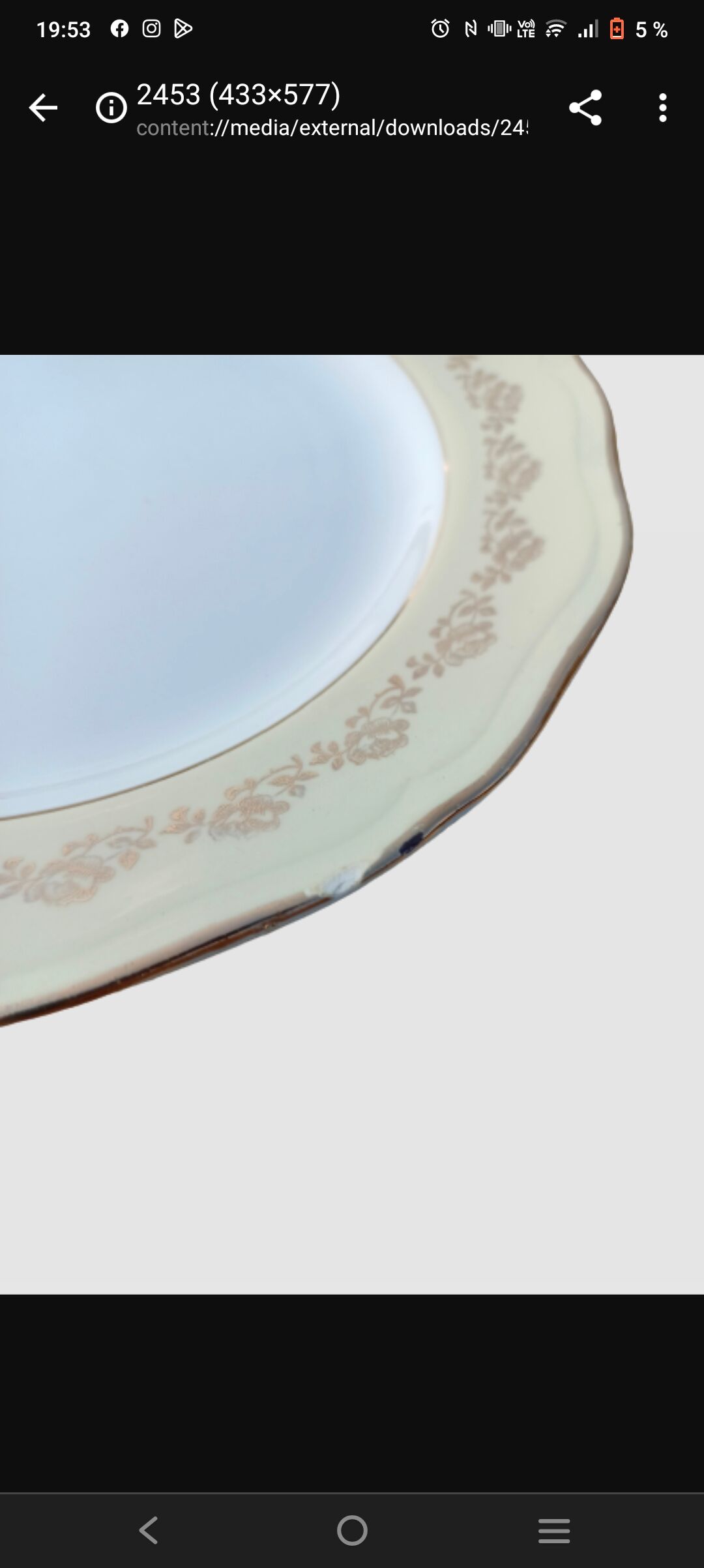 Flat plates L'Amandinoise