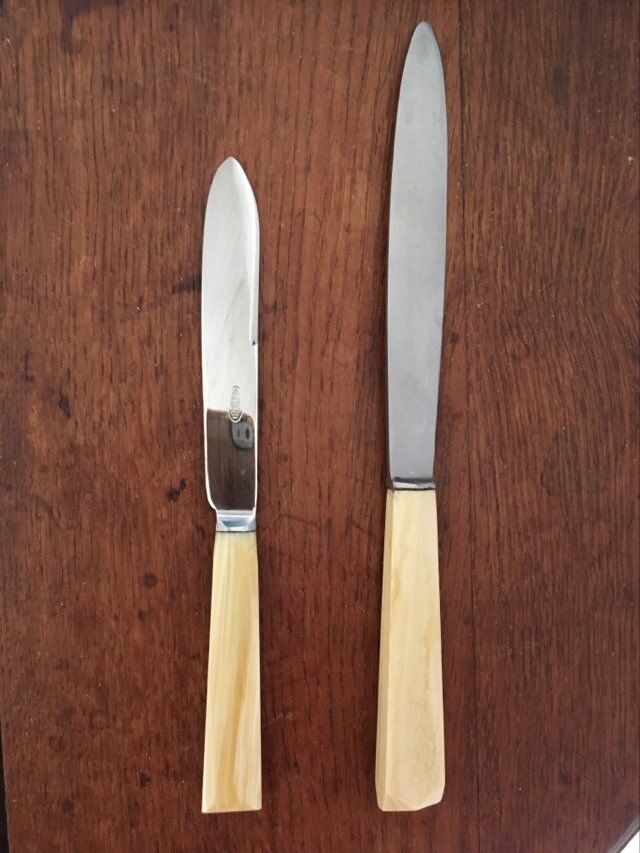 24 couteaux vintage Pradel inox