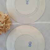 6 assiettes plates anciennes dépareillées terre de fer
