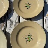 Set of 5 plates and 1 deep dish in Boch earthenware